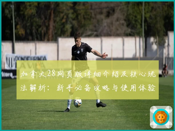 加拿大28网页版详细介绍及核心玩法解析：新手必备攻略与使用体验分享