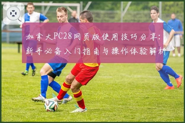 加拿大PC28网页版使用技巧分享：新手必备入门指南与操作体验解析