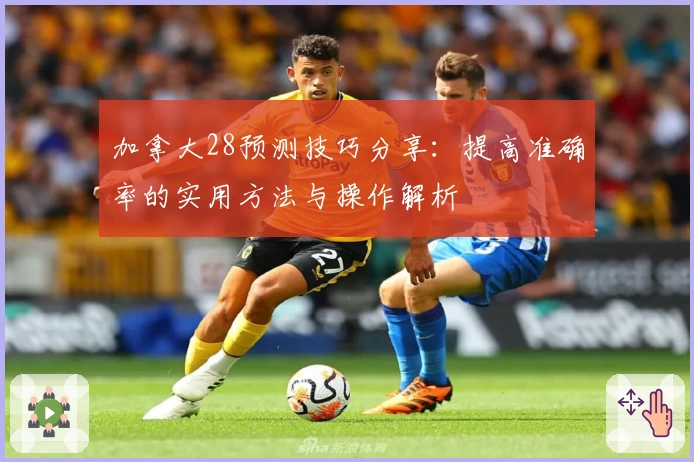 加拿大28预测技巧分享：提高准确率的实用方法与操作解析