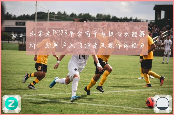 加拿大PC28平台简介与核心功能解析：新用户入门指南及操作体验分析