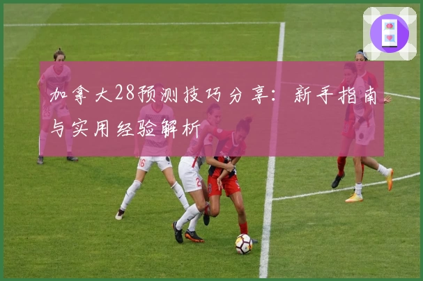 加拿大28预测技巧分享：新手指南与实用经验解析