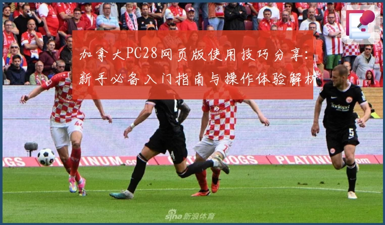 加拿大PC28网页版使用技巧分享：新手必备入门指南与操作体验解析