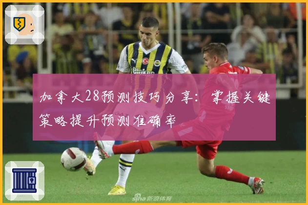 加拿大28预测技巧分享：掌握关键策略提升预测准确率