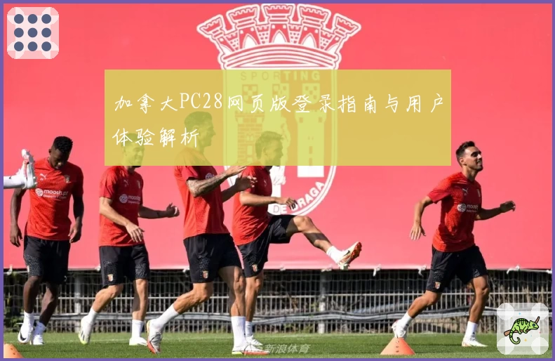 加拿大PC28网页版登录指南与用户体验解析