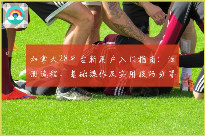 加拿大28平台新用户入门指南：注册流程、基础操作及实用技巧分享