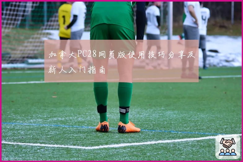 加拿大PC28网页版使用技巧分享及新人入门指南