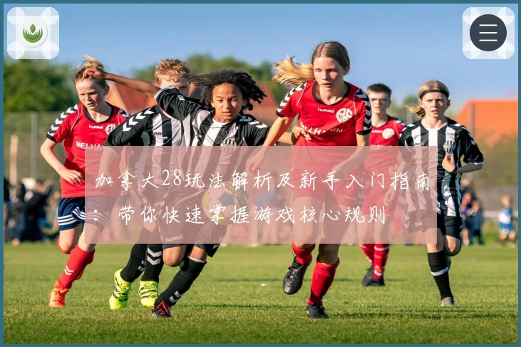 加拿大28玩法解析及新手入门指南：带你快速掌握游戏核心规则