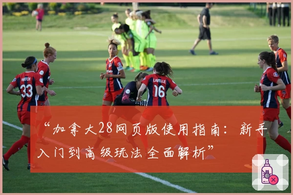 “加拿大28网页版使用指南：新手入门到高级玩法全面解析”