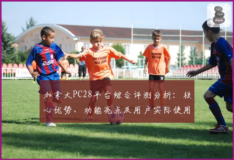 加拿大PC28平台综合评测分析：核心优势、功能亮点及用户实际使用体验解析
