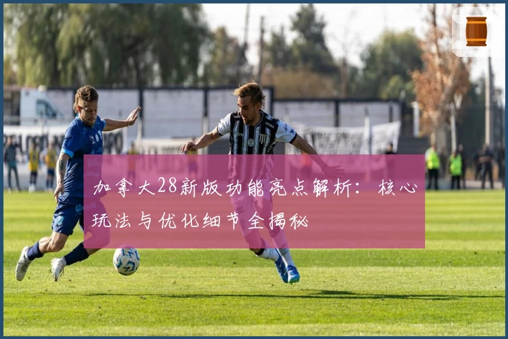 加拿大28新版功能亮点解析：核心玩法与优化细节全揭秘