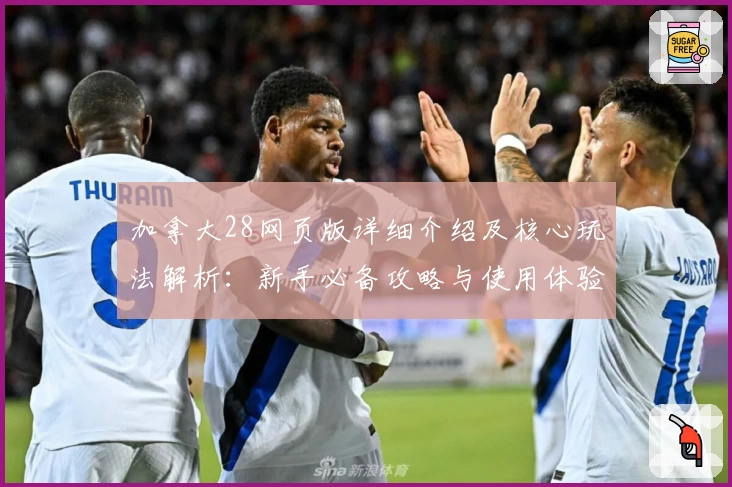 加拿大28网页版详细介绍及核心玩法解析:新手必备攻略与使用体验分享