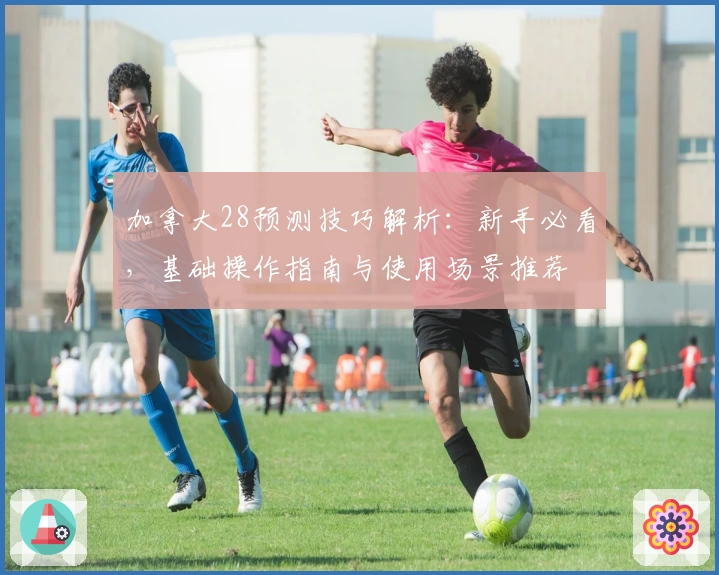 加拿大28预测技巧解析：新手必看，基础操作指南与使用场景推荐