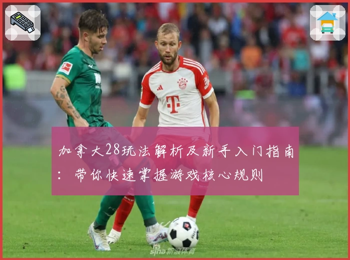 加拿大28玩法解析及新手入门指南：带你快速掌握游戏核心规则