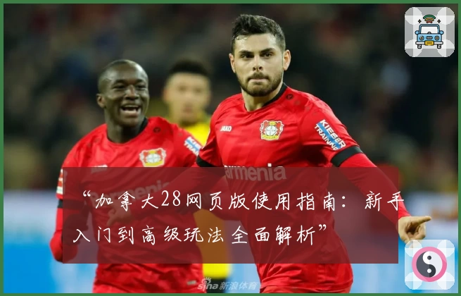 “加拿大28网页版使用指南：新手入门到高级玩法全面解析”