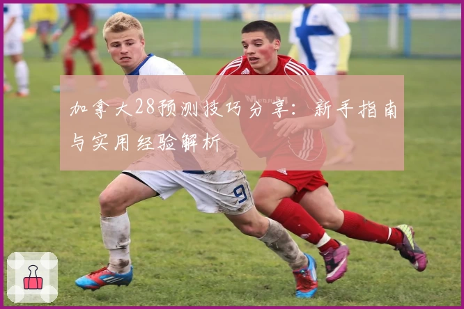加拿大28预测技巧分享：新手指南与实用经验解析